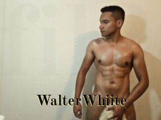 WalterWhiite