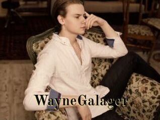 WayneGalager
