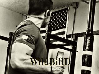 WildBillD
