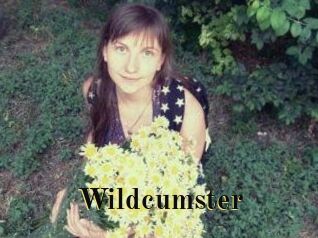 Wildcumster