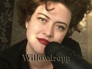 Willowdropp