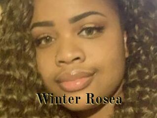Winter_Rosea