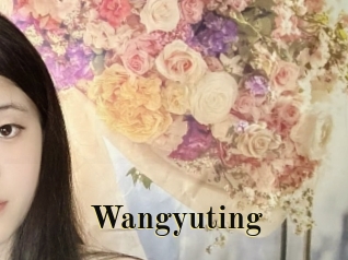 Wangyuting