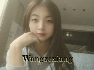 Wangzcxiang