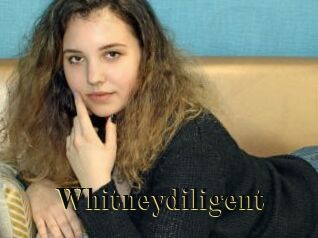 whitneydiligent Films 2 Q