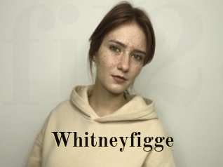 Whitneyfigge