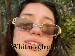 Whitneygleghorn