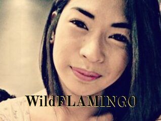 WildFLAMINGO