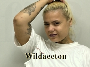 Wildaecton