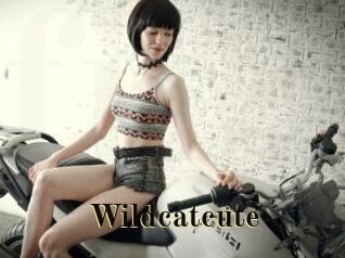 Wildcatcute