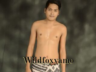 Wildfoxyamo
