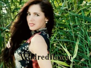 Wildredflower