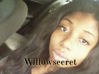 Willow_secret