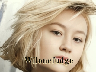 Wilonefudge