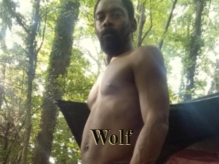 wolf Films 2 Q