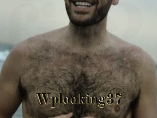 Wplooking37