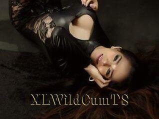 XLWildCumTS