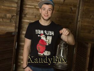 XandyFox