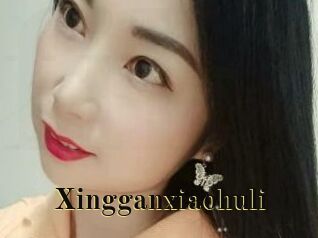 Xingganxiaohuli