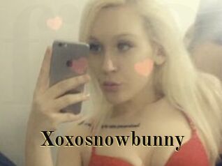 Xoxosnowbunny