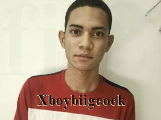Xboybiigcock