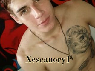 Xescanory1