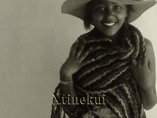 Xtinekui