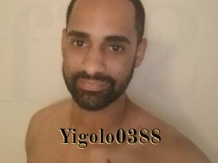 Yigolo0388