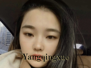 Yangqingxue