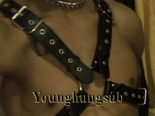 Younghungsub