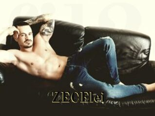 ZECElei