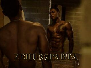 ZEHUS_SPARTA