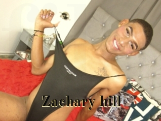 Zachary_hill