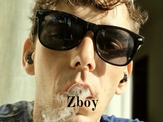 Zboy