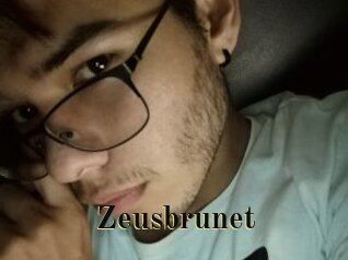 Zeusbrunet