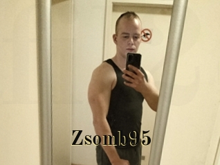 Zsomb95