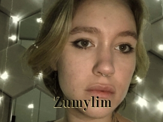 zumylim Films 2 Q